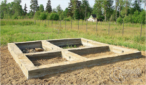 ��������� ��� ���� ������ ������